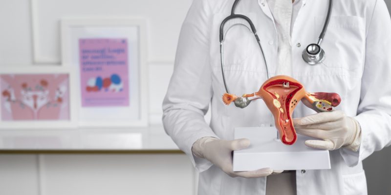 medico-de-vista-frontal-segurando-o-modelo-anatomico
